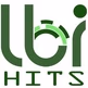 LBI Hits logo