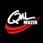 QMI Muzik logo