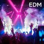 104.6 RTL - EDM logo