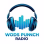 WODS Punnch Radio logo