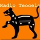 Radio Teocelo - XEYTM logo