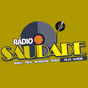 Radio Saudade logo