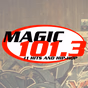 Magic 101.3 - WTMG logo