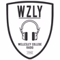 WZLY 91.5 FM - WZLY logo