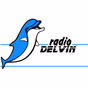 Delvin Radio logo