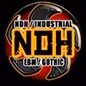 NDH FM Online logo