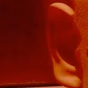 ohrmuschel logo