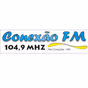 Rádio Conexão 104.9 FM logo