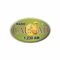 RCN - Radio Calidad Cali logo