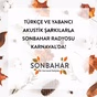 Karnaval - Sonbahar logo
