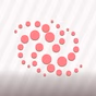 Santa Rosa Stereo FM logo