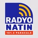 Radyo Natin Paracale - DZVN logo