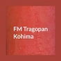 All India Radio - FM Tragopan Kohima logo