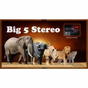 BIG 5 STEREO 2 logo