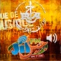 Radio Algérienne - Radio Jijel logo