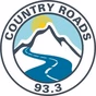 Country Roads 93.3 - WSDQ logo