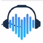 101.1 the Pulse - WLJA-FM logo