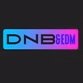 DnB&EDM logo