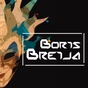 RadioSpinner - Boris Brejcha Radio logo