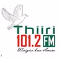 Thiiri 101.2FM logo