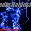 Radio Hajducki Inat logo
