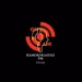 Ramokokastad FM logo