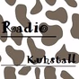 Radio Kuhstall logo