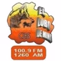 El Lobo de Mina - XHMTV logo