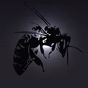 Bombus Radio logo