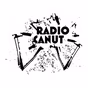 Radio Canut logo