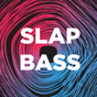 DFM - Slap Bass logo
