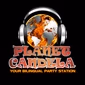 Planet Candela logo