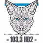 Coyote New Country - CHAA-HD2 logo