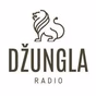 Radio Džungla Doboj - Program II logo