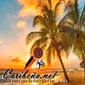 Sonido Clave Radio - Caribeña.net logo