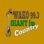 Giant FM - W257DW logo