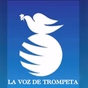WLWV-LP logo