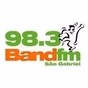 Band FM São Gabriel logo