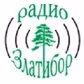 Радио Златибор logo