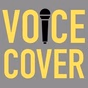 Vip-Radios.fm - Voice Covers logo