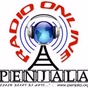 Penjala FM logo