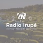 FM Radio Irupé logo