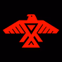 Animikii Club logo