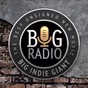 Big Indie Giant logo