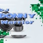 Car Sound Radio Dj Donny Warrior logo