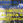 Radyo Cilem logo