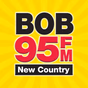 Bob 95 FM - KDLB logo