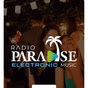 Radio Paradise - Electronic logo