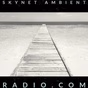 Skynet Ambient Radio logo