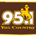 Y95 Country Radio logo